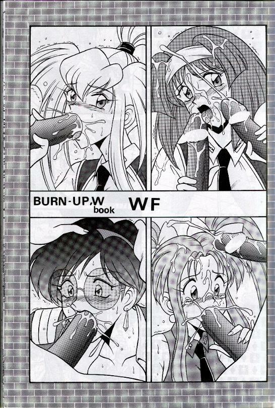 (CR20) [Mutsuya (Mutsu Nagare)] WF (Burn Up W) page 3 full