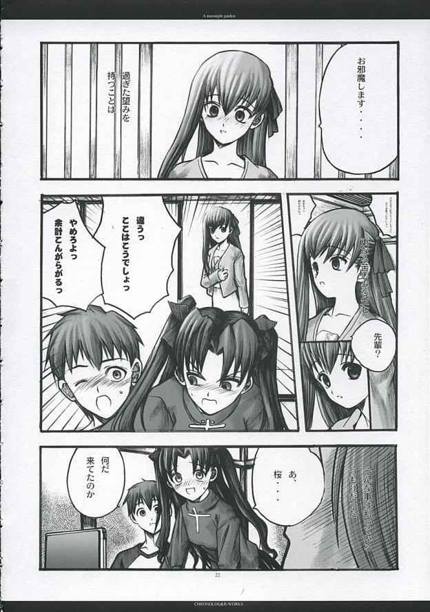 [CHRONOLOG, R-Works] A moonlit garden (Tsukihime,Fate/Stay Night) page 21 full