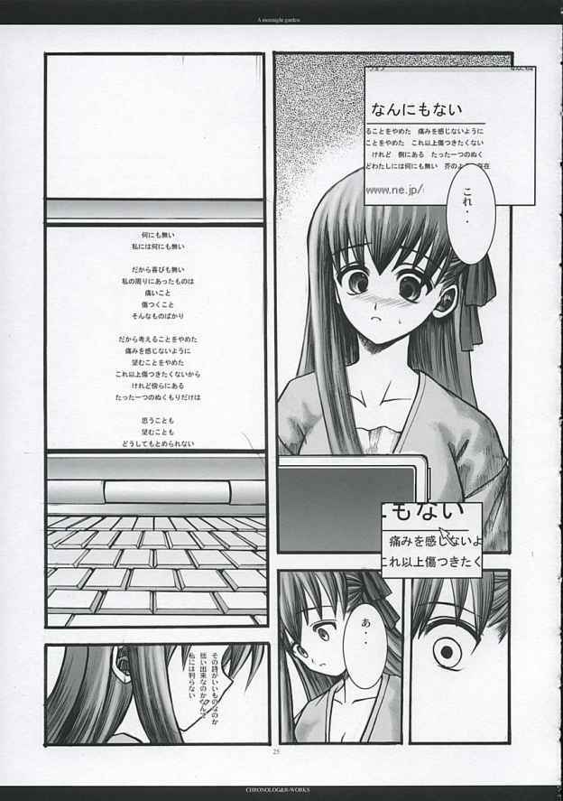 [CHRONOLOG, R-Works] A moonlit garden (Tsukihime,Fate/Stay Night) page 24 full