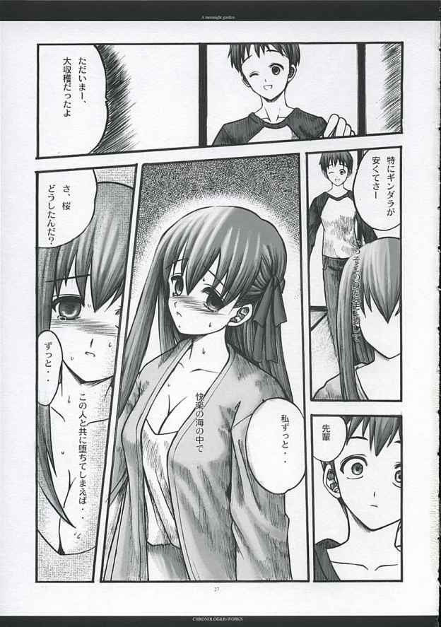 [CHRONOLOG, R-Works] A moonlit garden (Tsukihime,Fate/Stay Night) page 26 full