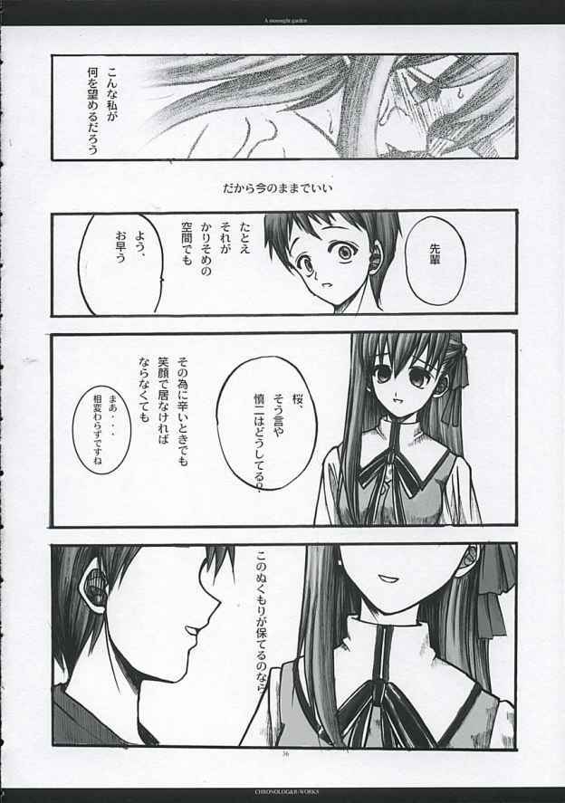 [CHRONOLOG, R-Works] A moonlit garden (Tsukihime,Fate/Stay Night) page 35 full