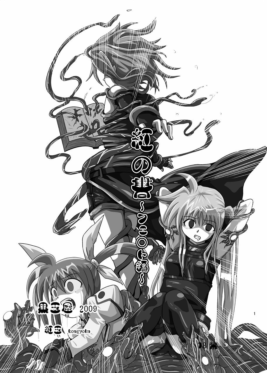 [Kurodamaya (Akadama)] Kurenai no Sho ~Fate Hen~ (Mahou Shoujo Lyrical Nanoha) page 2 full