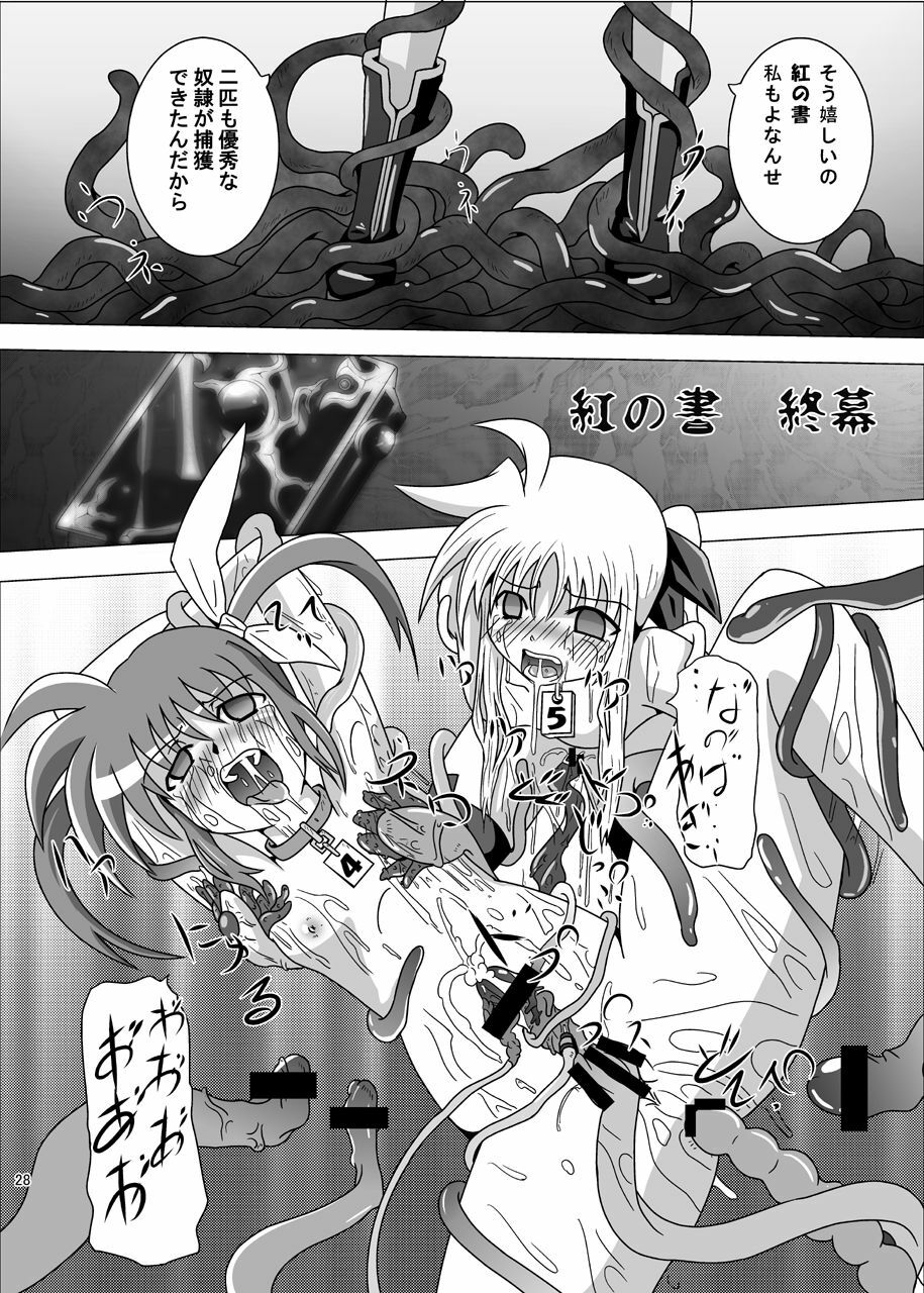 [Kurodamaya (Akadama)] Kurenai no Sho ~Fate Hen~ (Mahou Shoujo Lyrical Nanoha) page 29 full