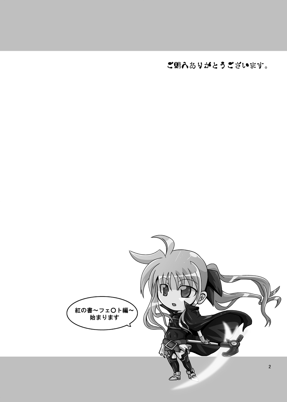 [Kurodamaya (Akadama)] Kurenai no Sho ~Fate Hen~ (Mahou Shoujo Lyrical Nanoha) page 3 full