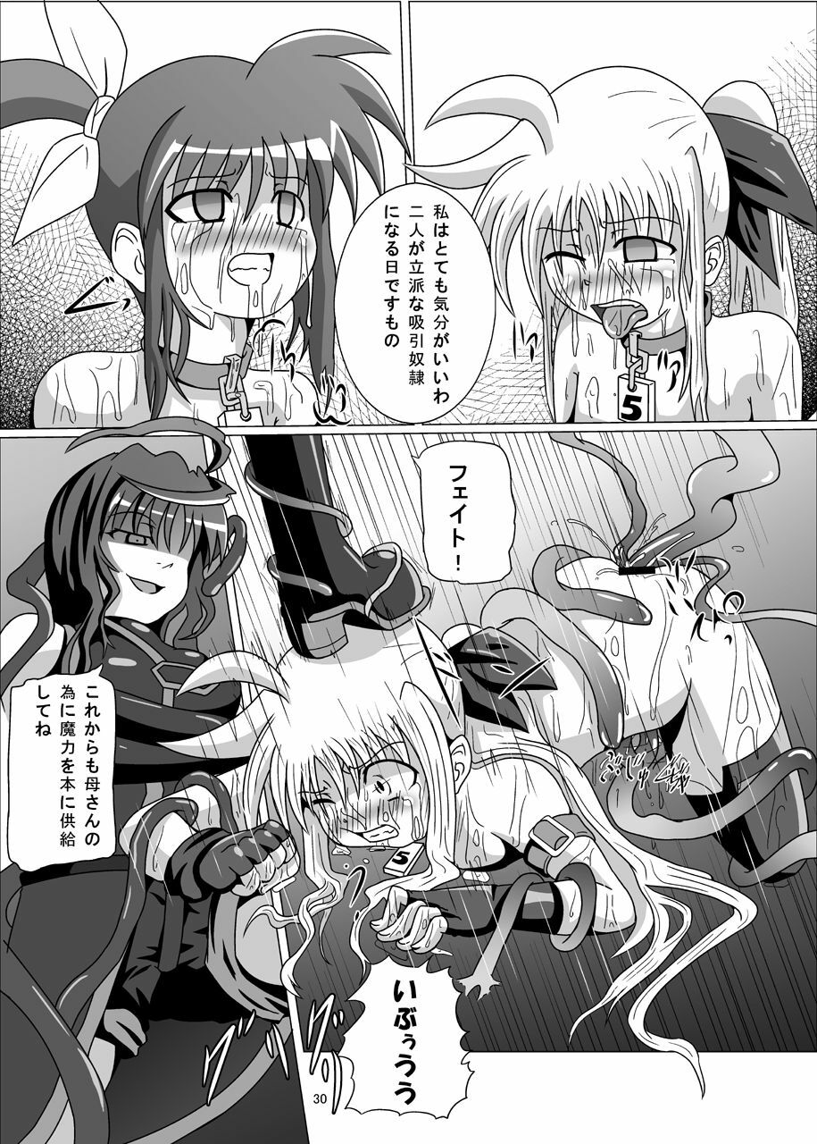 [Kurodamaya (Akadama)] Kurenai no Sho ~Fate Hen~ (Mahou Shoujo Lyrical Nanoha) page 31 full