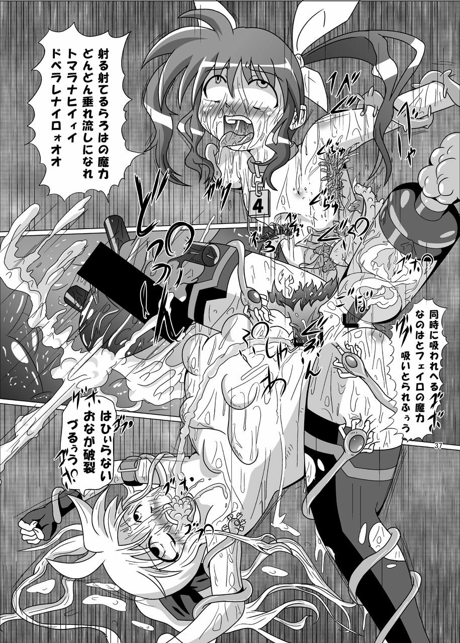 [Kurodamaya (Akadama)] Kurenai no Sho ~Fate Hen~ (Mahou Shoujo Lyrical Nanoha) page 38 full