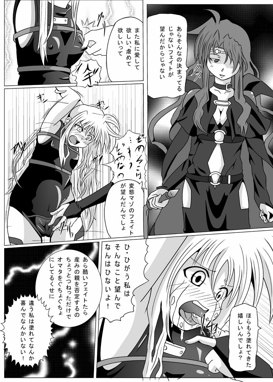 [Kurodamaya (Akadama)] Kurenai no Sho ~Fate Hen~ (Mahou Shoujo Lyrical Nanoha) page 5 full