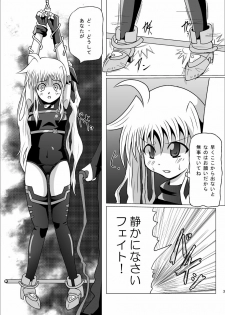 [Kurodamaya (Akadama)] Kurenai no Sho ~Fate Hen~ (Mahou Shoujo Lyrical Nanoha) - page 4