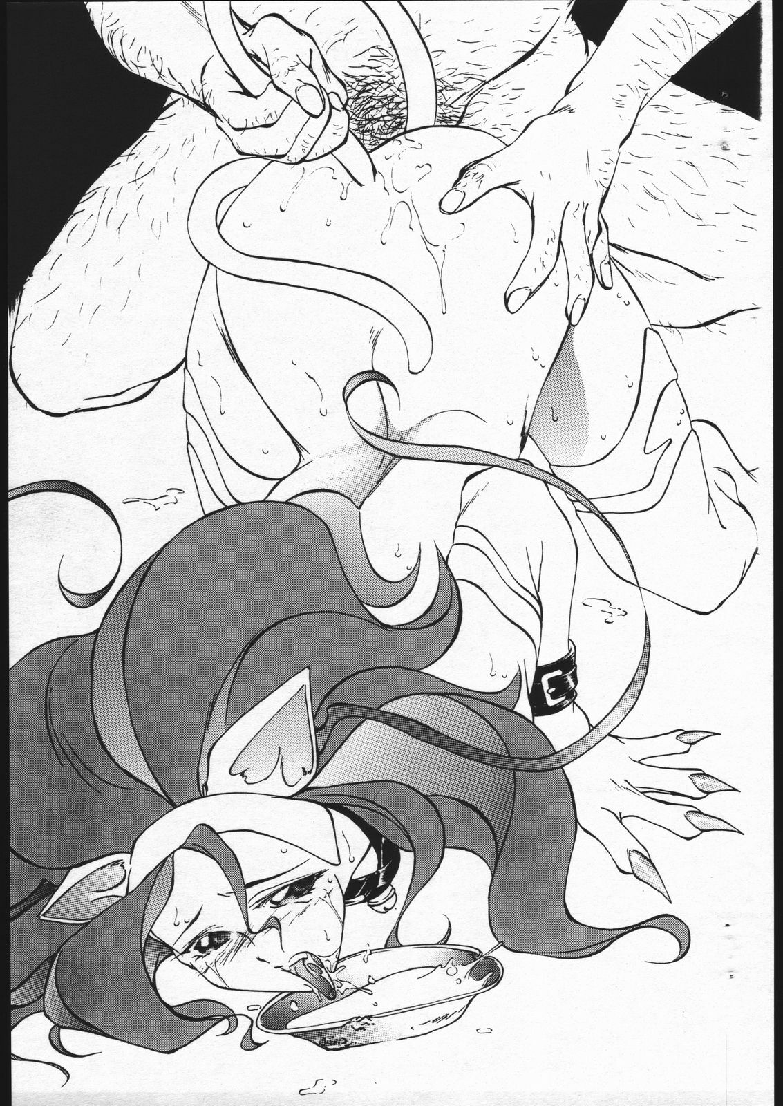 (C49) [Karajishi (Yajishi Kou)] H Vamp (Darkstalkers) page 9 full