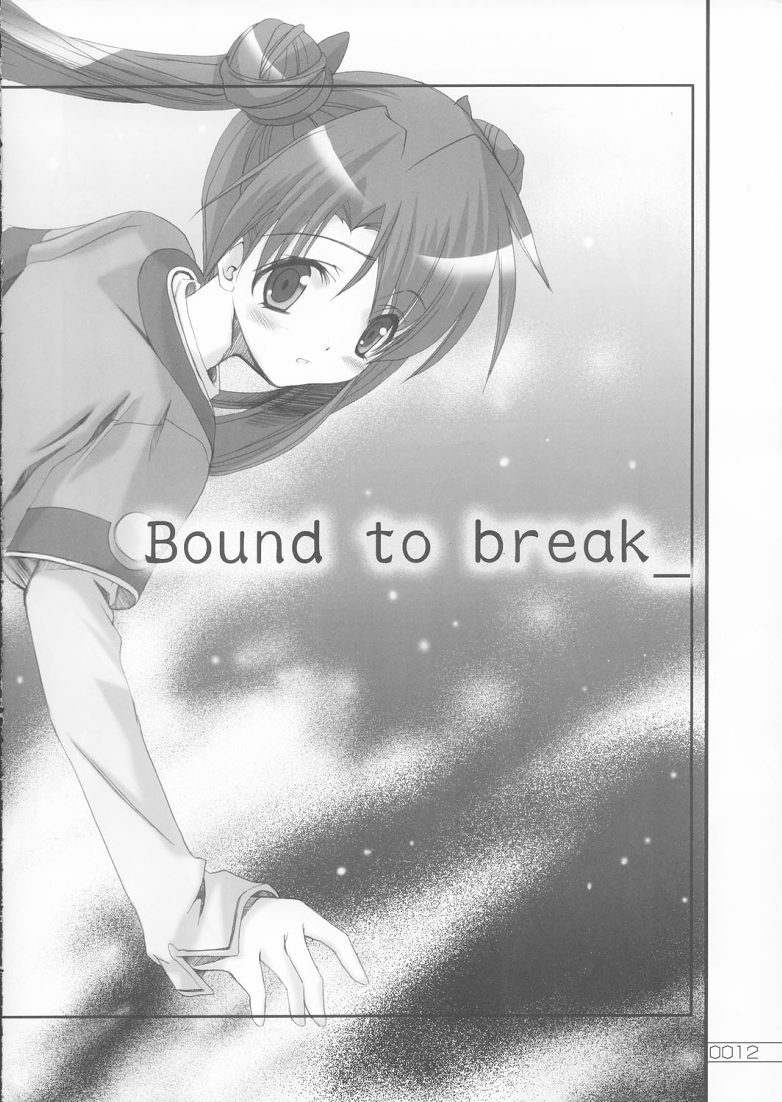 (SC20) [Sakaniya Factory (Yamamoto Takuto)] Bound to Break (Stellvia of the Universe) page 11 full