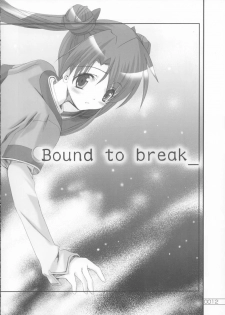 (SC20) [Sakaniya Factory (Yamamoto Takuto)] Bound to Break (Stellvia of the Universe) - page 11