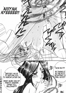 [LUCK&PLUCK!Co. (Amanomiya Haruka) Himitsu/Gentei Issatsu (Ah! My Goddess, You're Under Arrest!) [English] - page 12