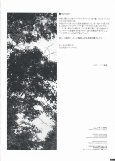 (C76) [Angyadow (Shikei)] Estelle Ijiri (The Legend of Heroes: Sora no Kiseki) - page 25