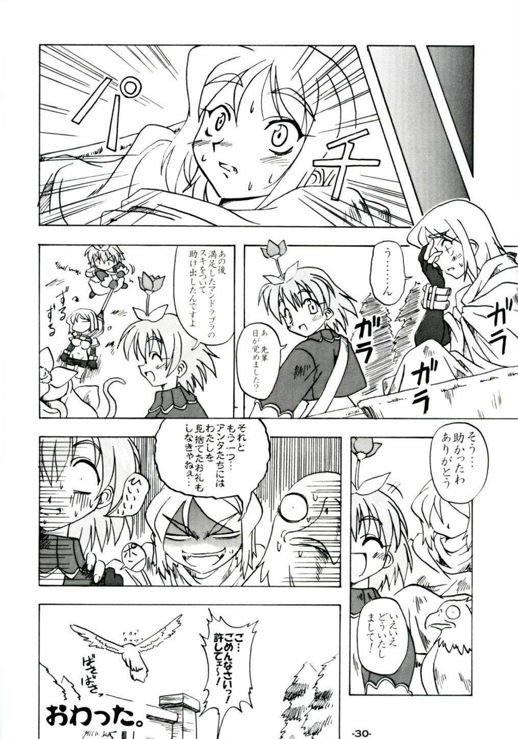 (SC19) [Yuunagi Zakkaten (Okara)] Steal Heart (Ragnarok Online) page 29 full