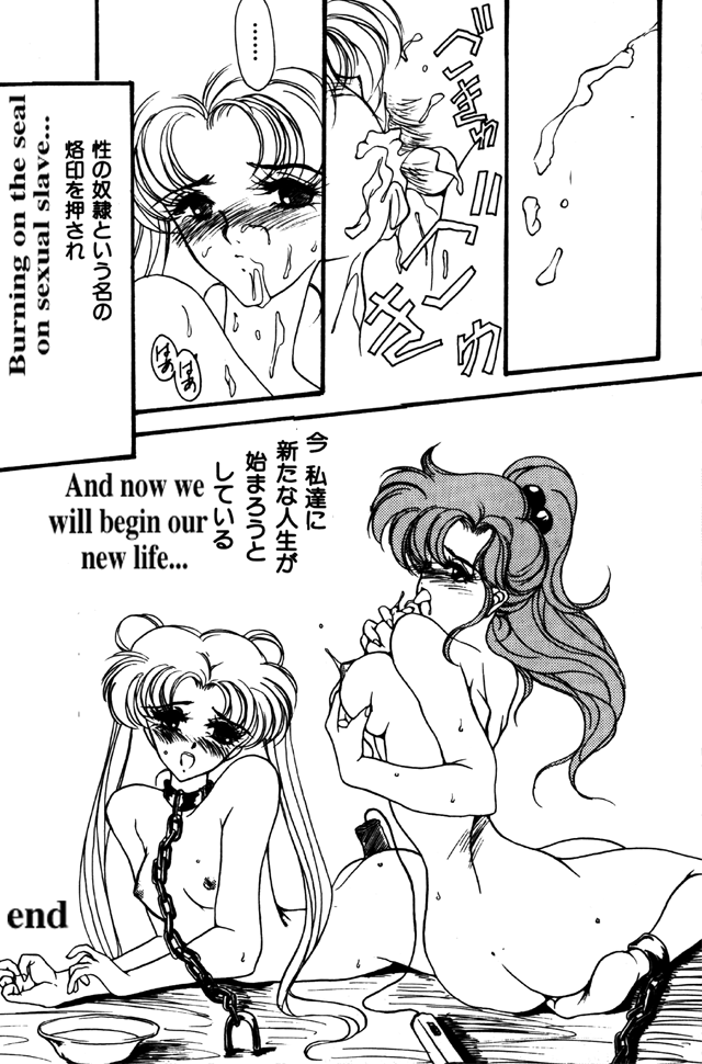 moon paradise (incomplete) (Sailor Moon) (English) page 17 full