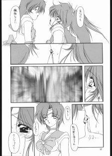 (C49) [Chimeishou (Ami Hideto)] Seirei Yakyoku Chuukan - Rosenfeld V (Bishoujo Senshi Sailor Moon) - page 18