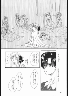 (C49) [Chimeishou (Ami Hideto)] Seirei Yakyoku Chuukan - Rosenfeld V (Bishoujo Senshi Sailor Moon) - page 39