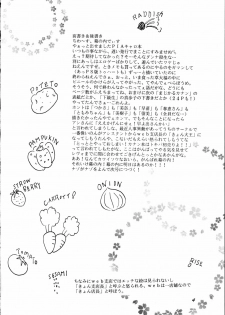 [Chandora, Lunch Box (Makunouchi Isami)] Lunch Box 36 - Ninjin Full Course (Pia Carrot) - page 3