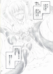 (C64) [UNISEX BLEND (Fujimiya Misuzu)] Ragnakko 4 (Ragnarok Online) - page 29