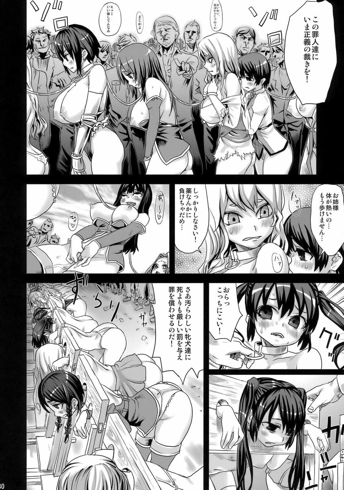(C76) [Fatalpulse (Asanagi)] Victim Girls 7 - Jaku Niku Kyoushoku Dog-eat-Bitch (Fantasy Earth Zero) page 29 full
