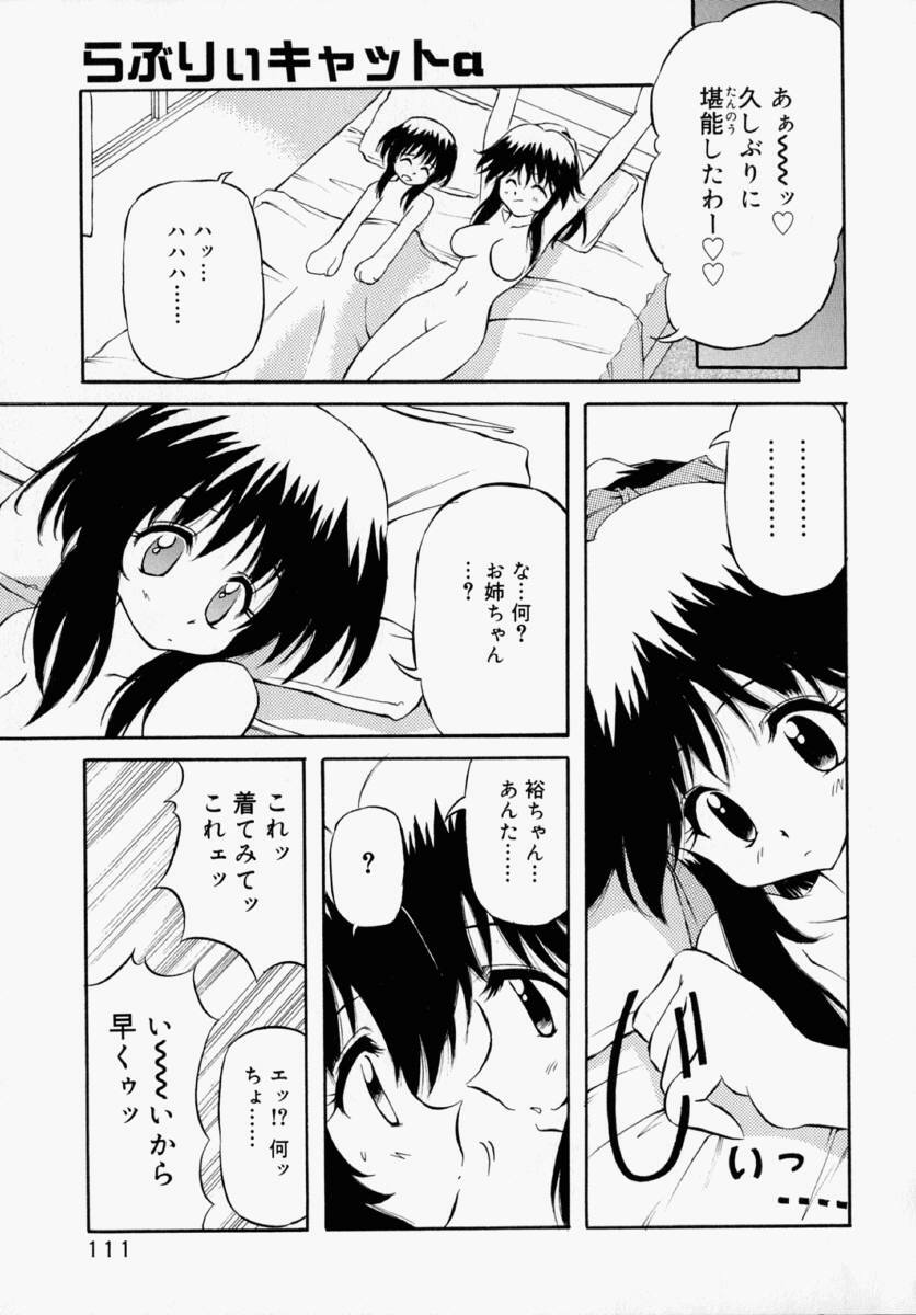 [Yasui Hirosato] Honto wa Suki Nanda+ page 117 full