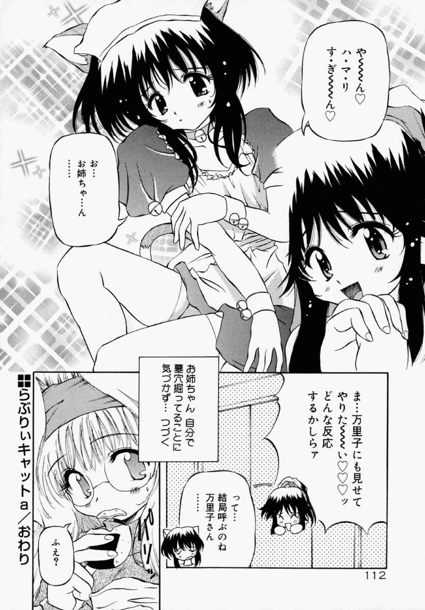 [Yasui Hirosato] Honto wa Suki Nanda+ page 118 full