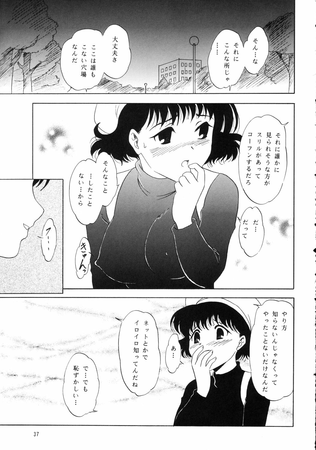 (C62) [Chandora & Lunchbox (Makunouchi Isami)] FAIRY GARDEN (Chobits) page 36 full