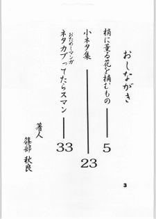 [AXS (Shinobu Akira)] Shinobu Akira Kojinshi 2 (Various) - page 4