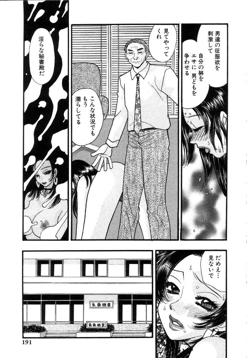 [Komotoda Emai] Hisho de Gozaimasu page 193 full