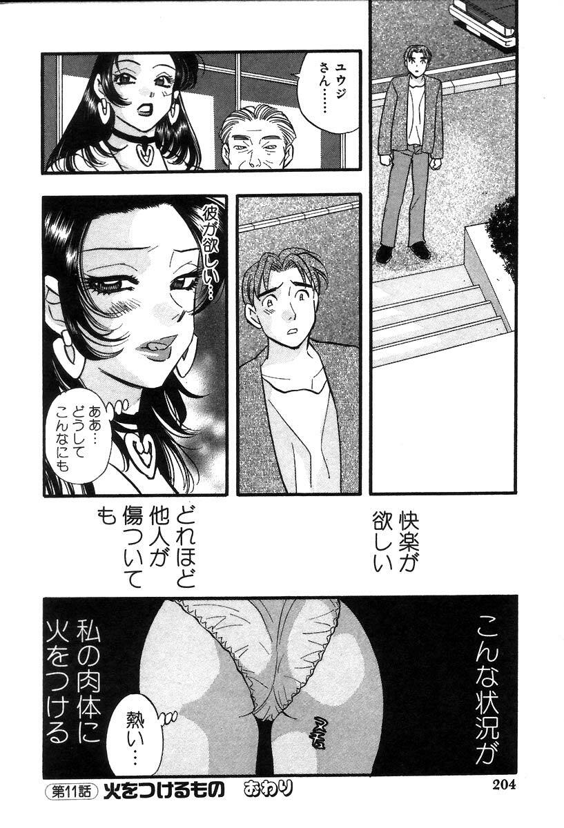 [Komotoda Emai] Hisho de Gozaimasu page 206 full