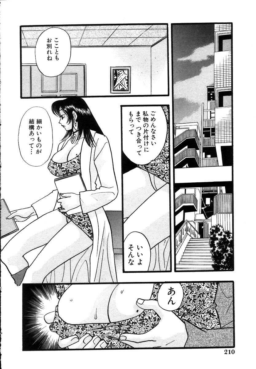 [Komotoda Emai] Hisho de Gozaimasu page 212 full