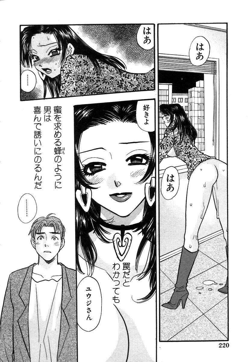 [Komotoda Emai] Hisho de Gozaimasu page 222 full