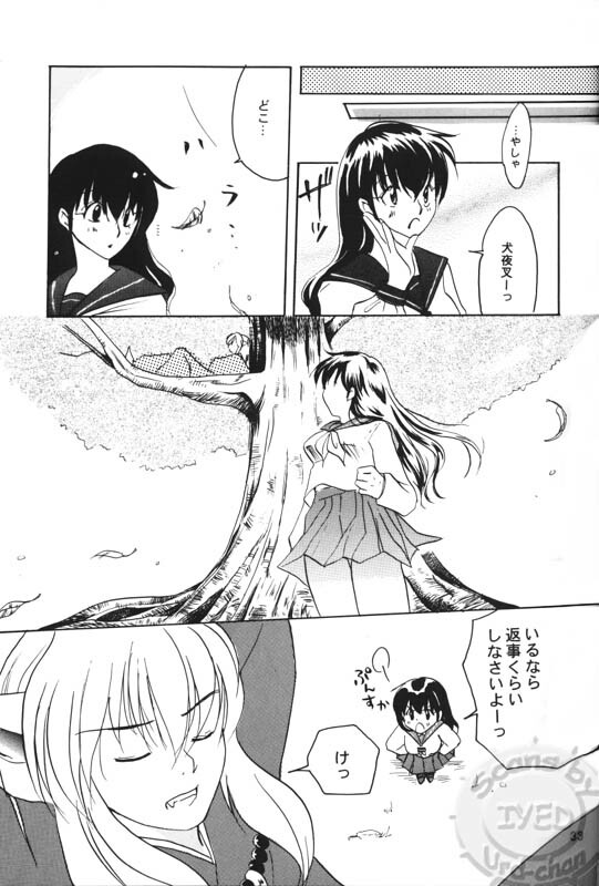 (Hana yori Wanko!) [Purintai (Kubota Junko, Fujii Yuu)] Sugar (Inuyasha) page 31 full