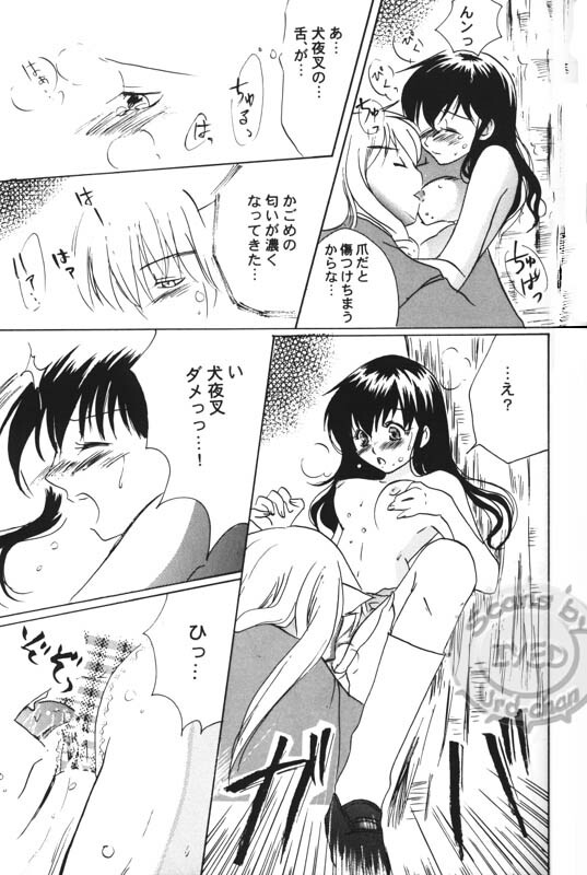 (Hana yori Wanko!) [Purintai (Kubota Junko, Fujii Yuu)] Sugar (Inuyasha) page 43 full