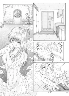 [UA Daisakusen (Harada Shoutarou)] Ruridou Gahou 1 (Magic Knight Rayearth) - page 45