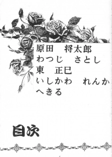 [UA Daisakusen (Harada Shoutarou)] Ruridou Gahou 1 (Magic Knight Rayearth) - page 4
