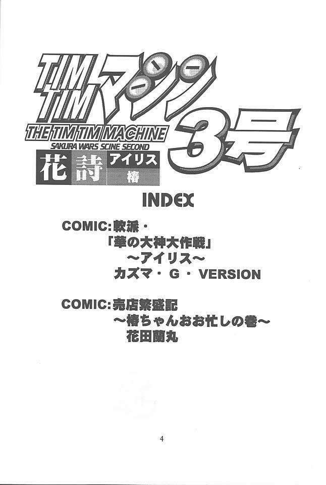 [TIMTIM MACHINE (Hanada Ranmaru, Kazuma G-Version)] TIMTIM MACHINE 3 (Sakura Taisen) page 3 full
