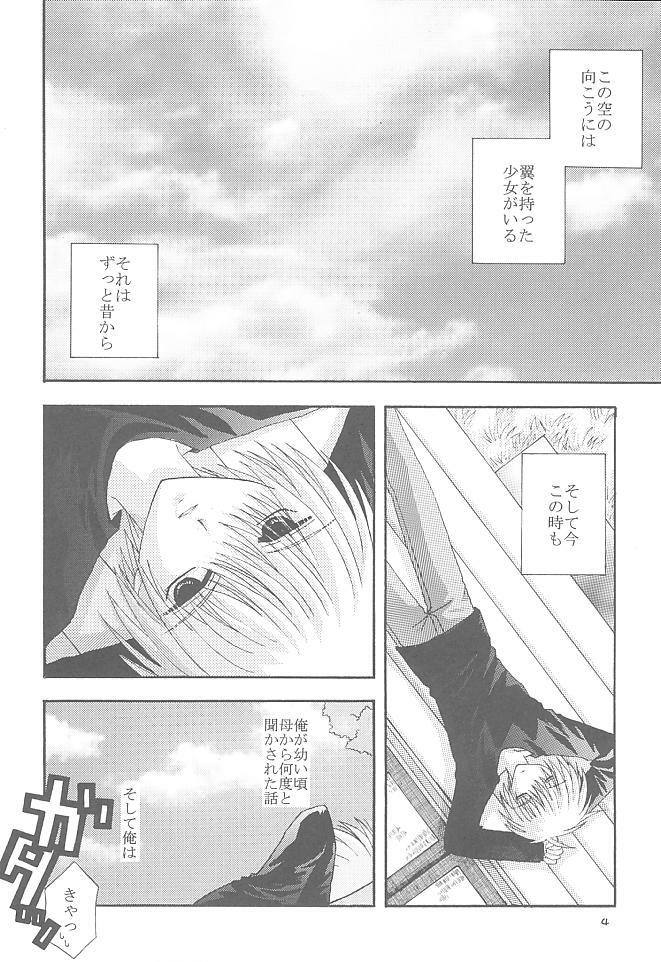 (SUPER10) [Neko Kinryouku (NekoNeko)] Mawaru Sora (Air) page 3 full