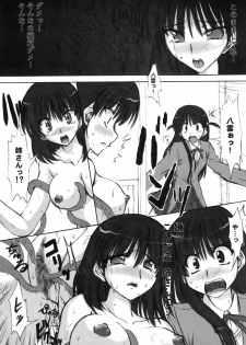 (C68)[Chipudo (Marui)] Rinshoku (School Rumble) - page 17