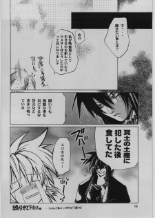 [Seinansei ni Kagayakeu Hoshi (Morino Papiko)] FINALE : rosso (Hellsing) - page 15