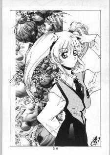 (C51) [Anime Brothers (Itsuki Kousuke, Katou Haruaki)] Anime Bros Coterie Magazine vol. 2 NADEFUNE (Martian Successor Nadesico) - page 29