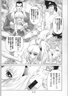 (C51) [Anime Brothers (Itsuki Kousuke, Katou Haruaki)] Anime Bros Coterie Magazine vol. 2 NADEFUNE (Martian Successor Nadesico) - page 31