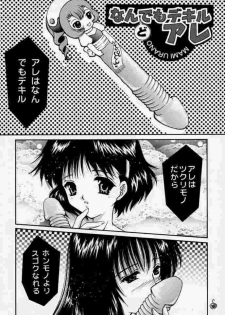 [Trap (Urano Mami)] Urano Mami Kojinshi Vol.44 Material Angel (Chobits) - page 17