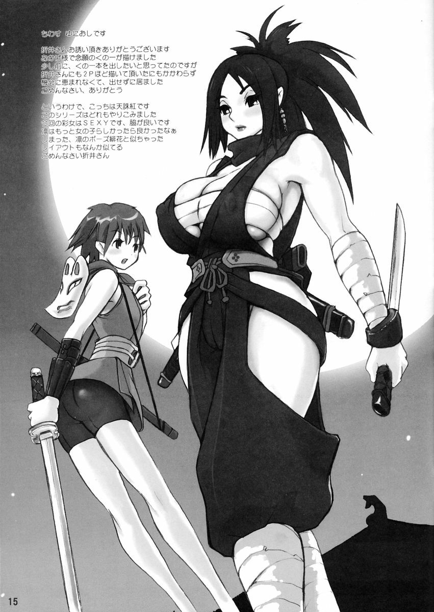 (CR37) [Zentaki Tekitou Ryuu (Ikeno, Orii Hiroshi, Yunioshi) Category Kunoichi (Dead or Alive, King of Fighters, Street Fighter) page 15 full