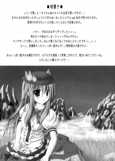 (C76) [Fantasy of Vermilion] Juuzoku x Kankei (Touhou) - page 17