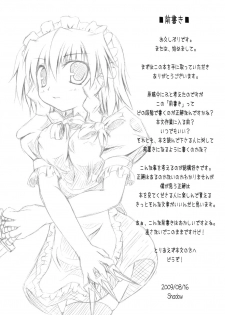 (C76) [Fantasy of Vermilion] Juuzoku x Kankei (Touhou) - page 4