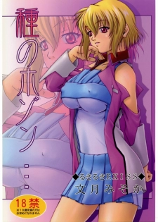 (C67) [Ruki Ruki EXISS (Fumizuki Misoka)] Tane no Hozon ... (Gundam SEED DESTINY) - page 1