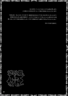 (SC38) [Todd Special (Todd Oyamada)] Basara Hime (Sengoku Basara) [English] - page 3