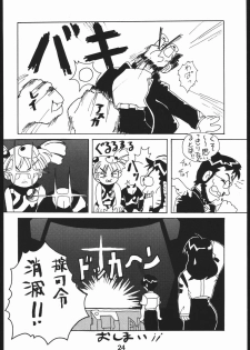 (C50) [Hoya GREAT Syoukai (Various)] WILD SNAKE XX (Neon Genesis Evangelion) - page 23