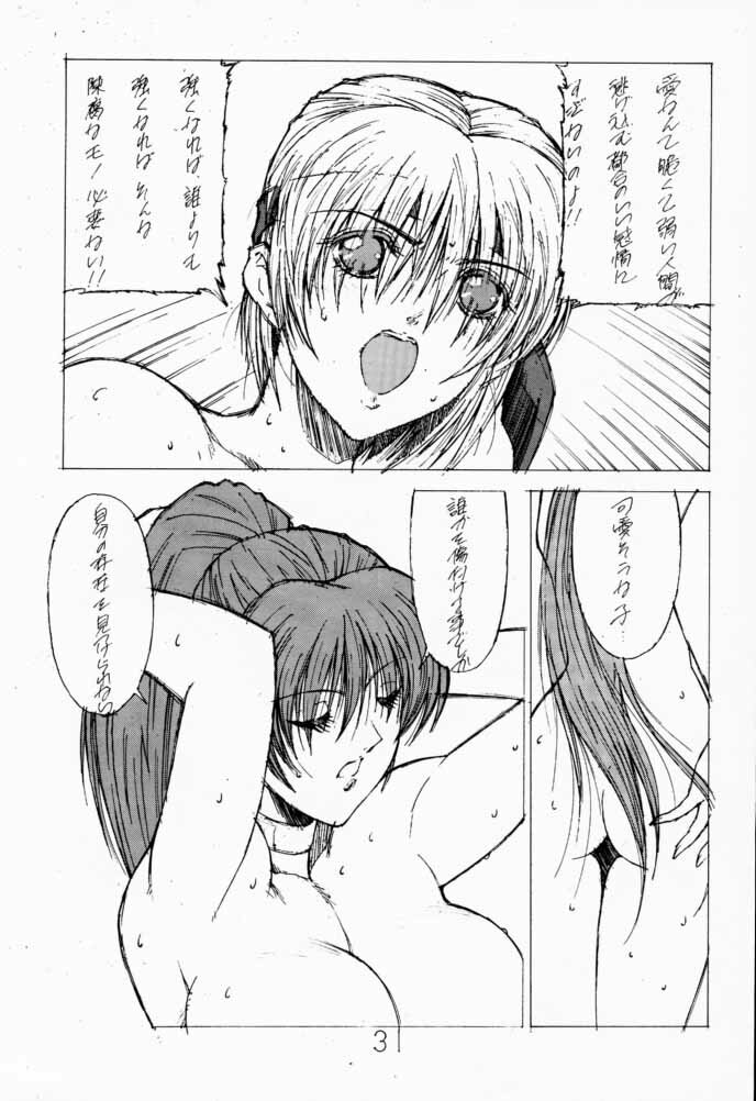 (C57) [Shibarism (Shibari Kana)] DA 2 (Dead or Alive) page 30 full